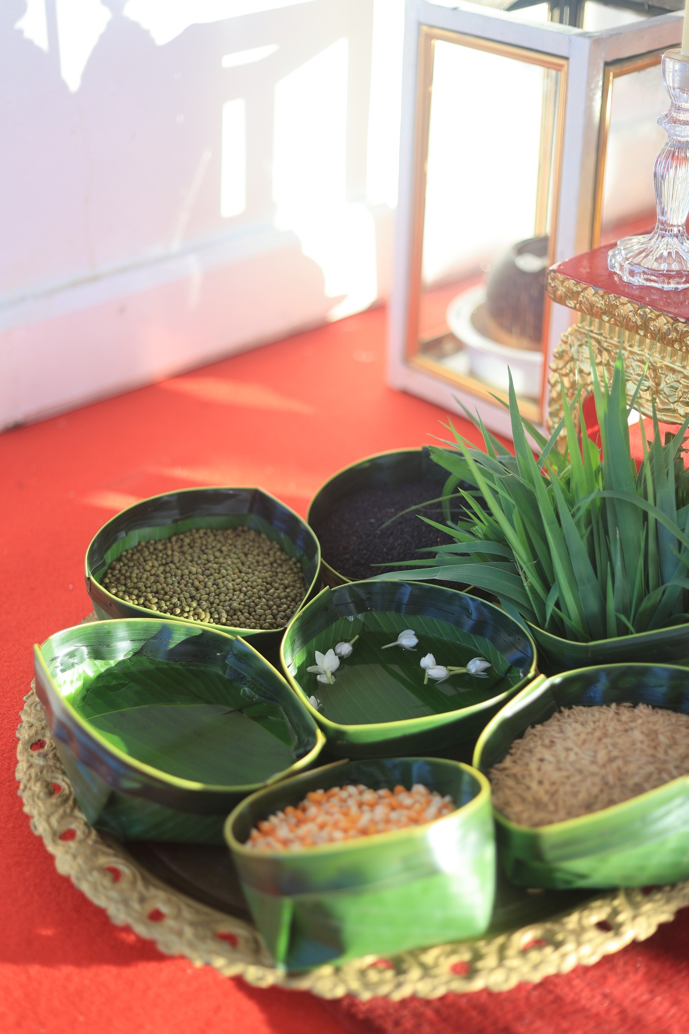 title - ส.ป.ก.นครปฐม เข้าร่วมพิธีพืชมงคลจรดพระนังคัลแรกนาขวัญ ปีพุทธศักราช 2569